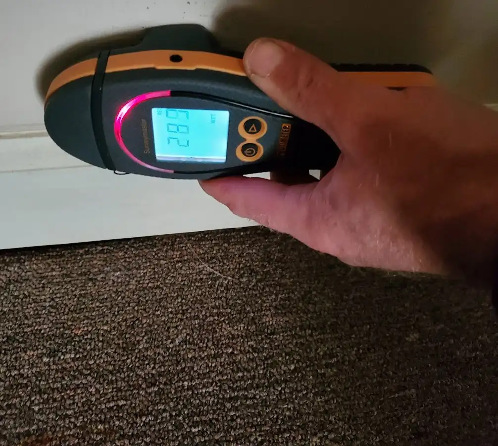 Moisture detection at baseboard during Sewage Cleanup & Sanitation in Talladega